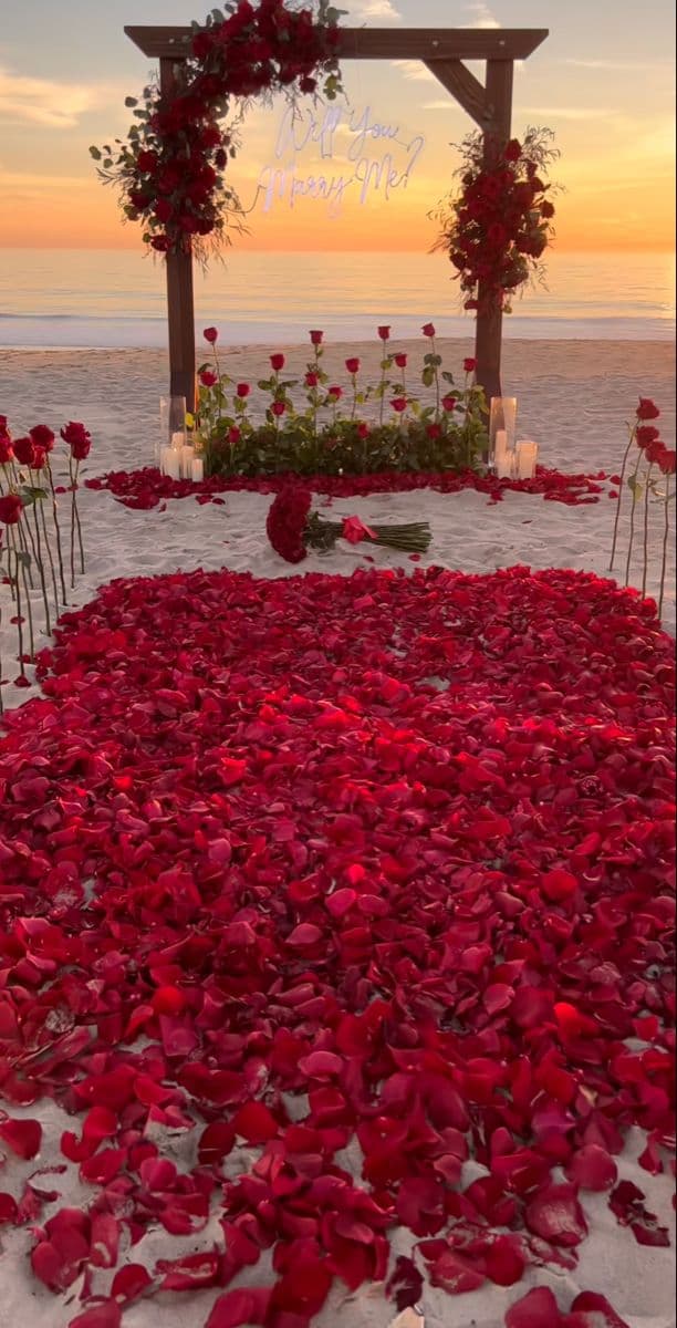 Beach Petal Proposal