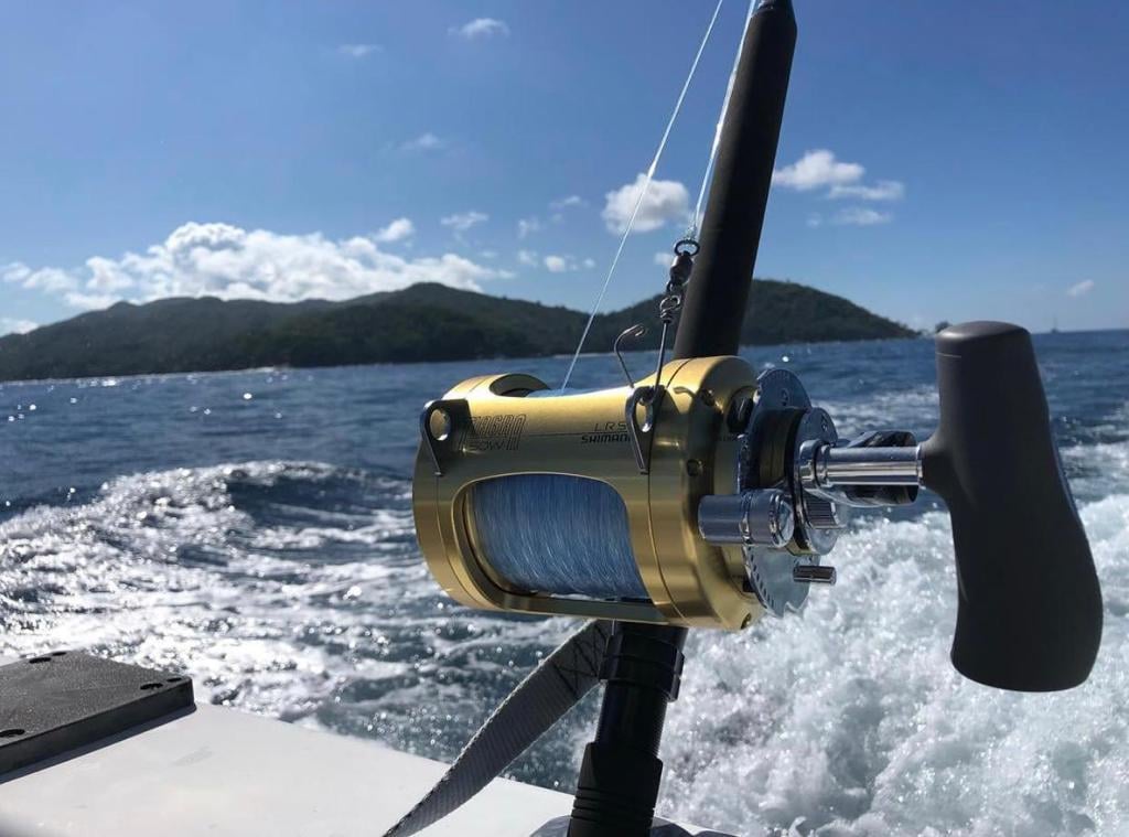 Big game fishing