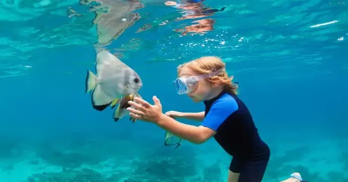 Full Day Snorkelling Tour in Cousin, Curieuse and St Pierre Island